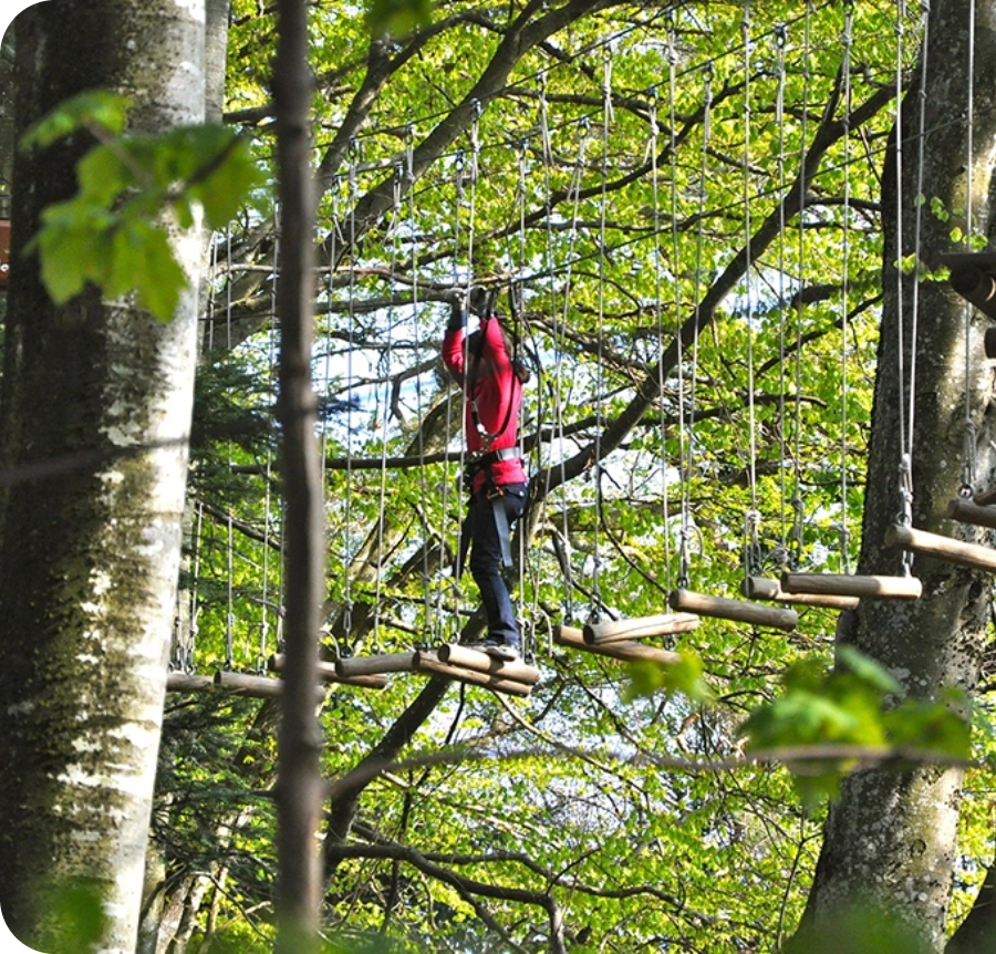 accrobranche signal de bougy
